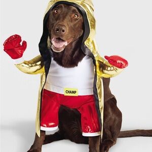 NWT Dog Halloween Boxer Costume size Medium